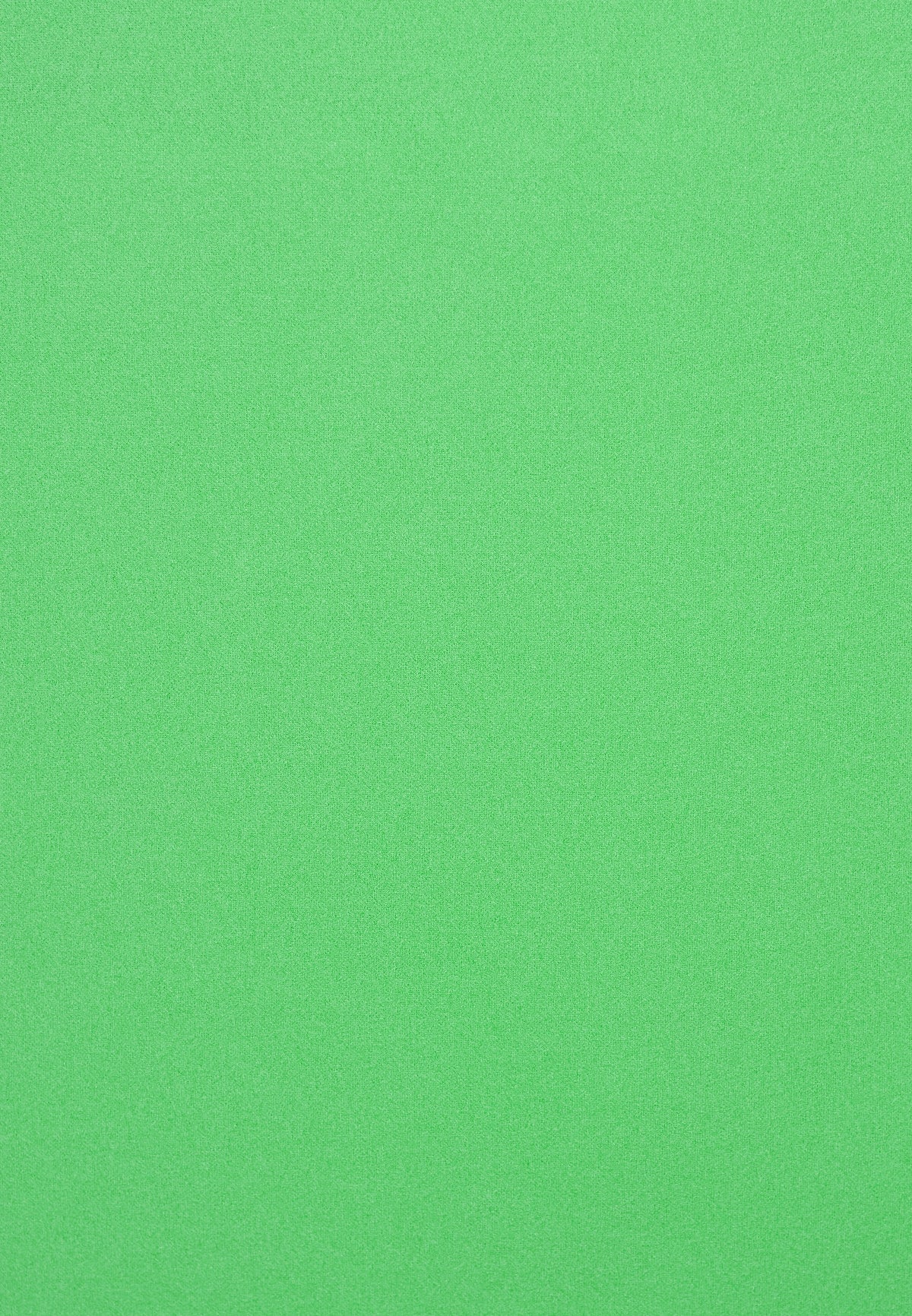 Anna Field Blazer - Green