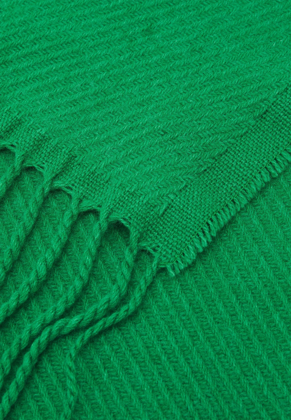 Anna Field Scarf - Green