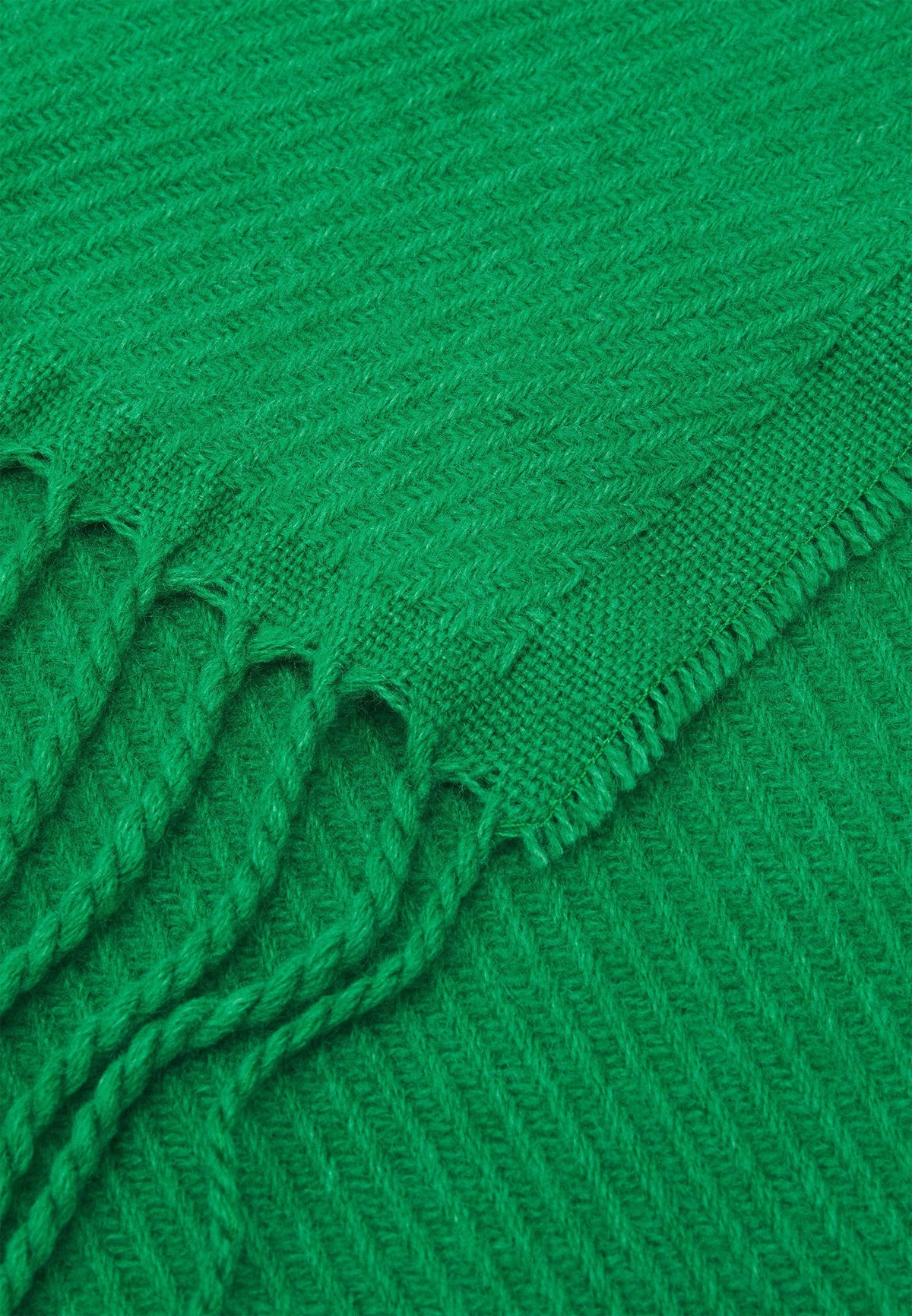 Anna Field Scarf - Green