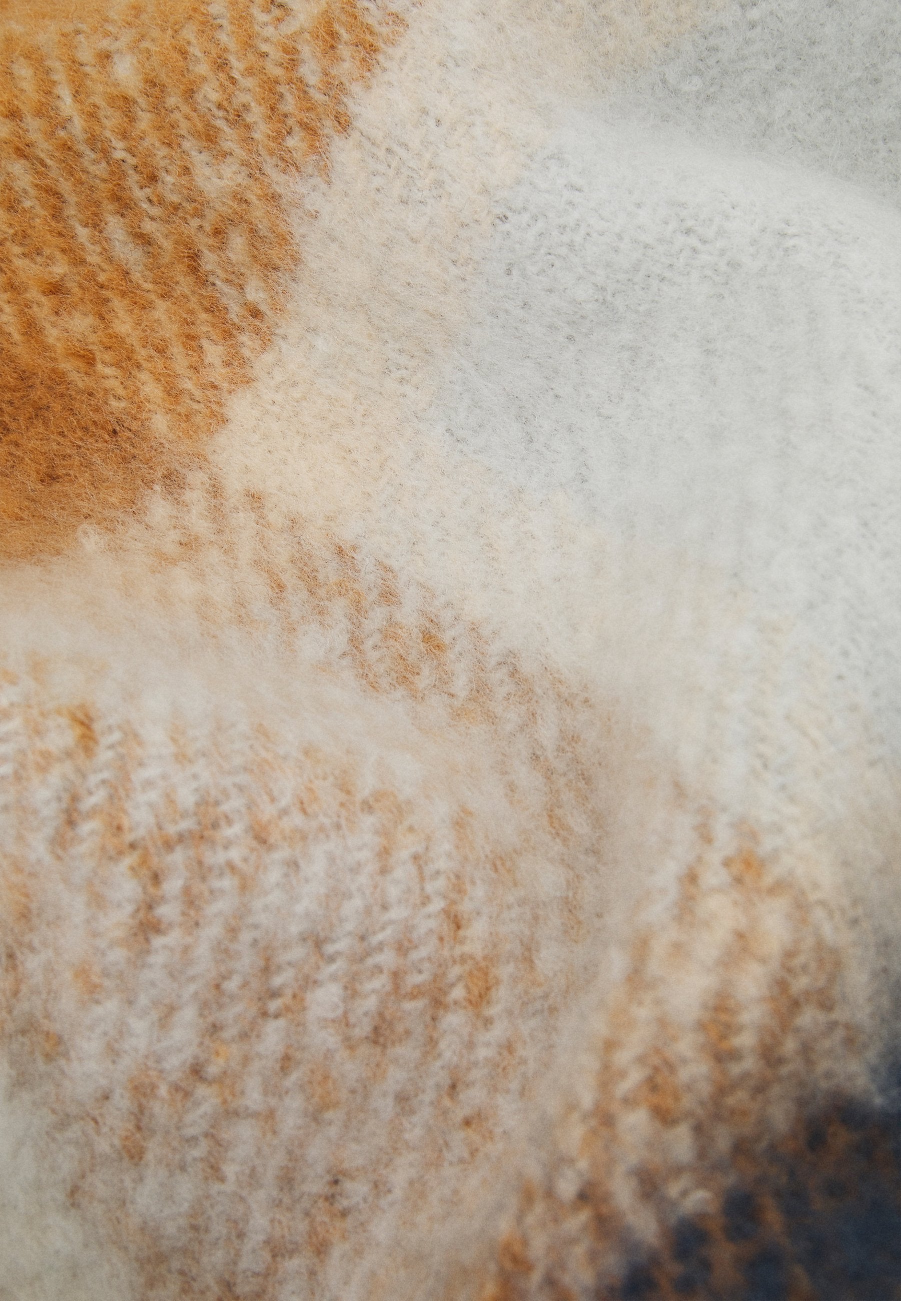 Anna Field Scarf - Brown/White/Blue