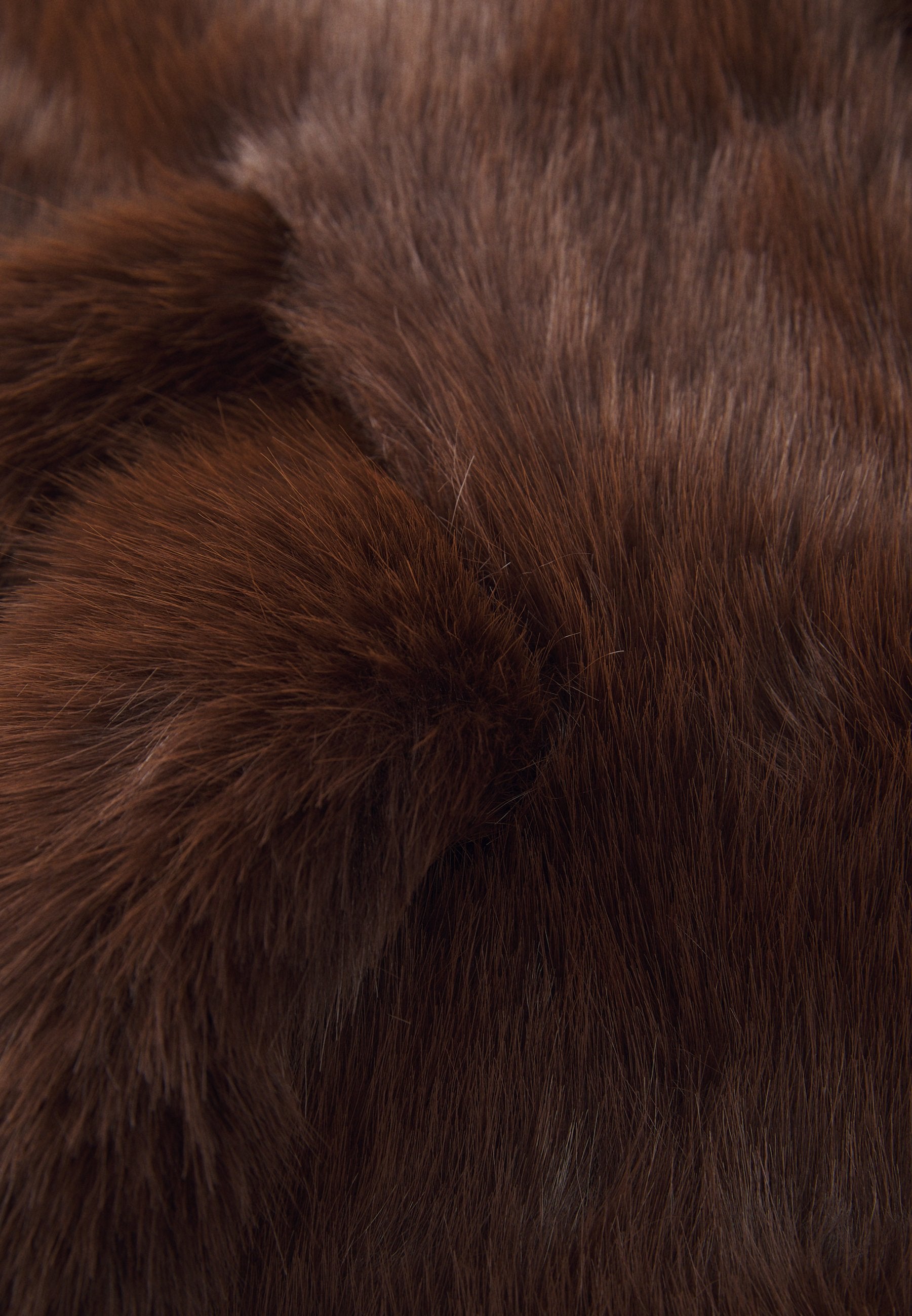 Anna Field Scarf - Brown