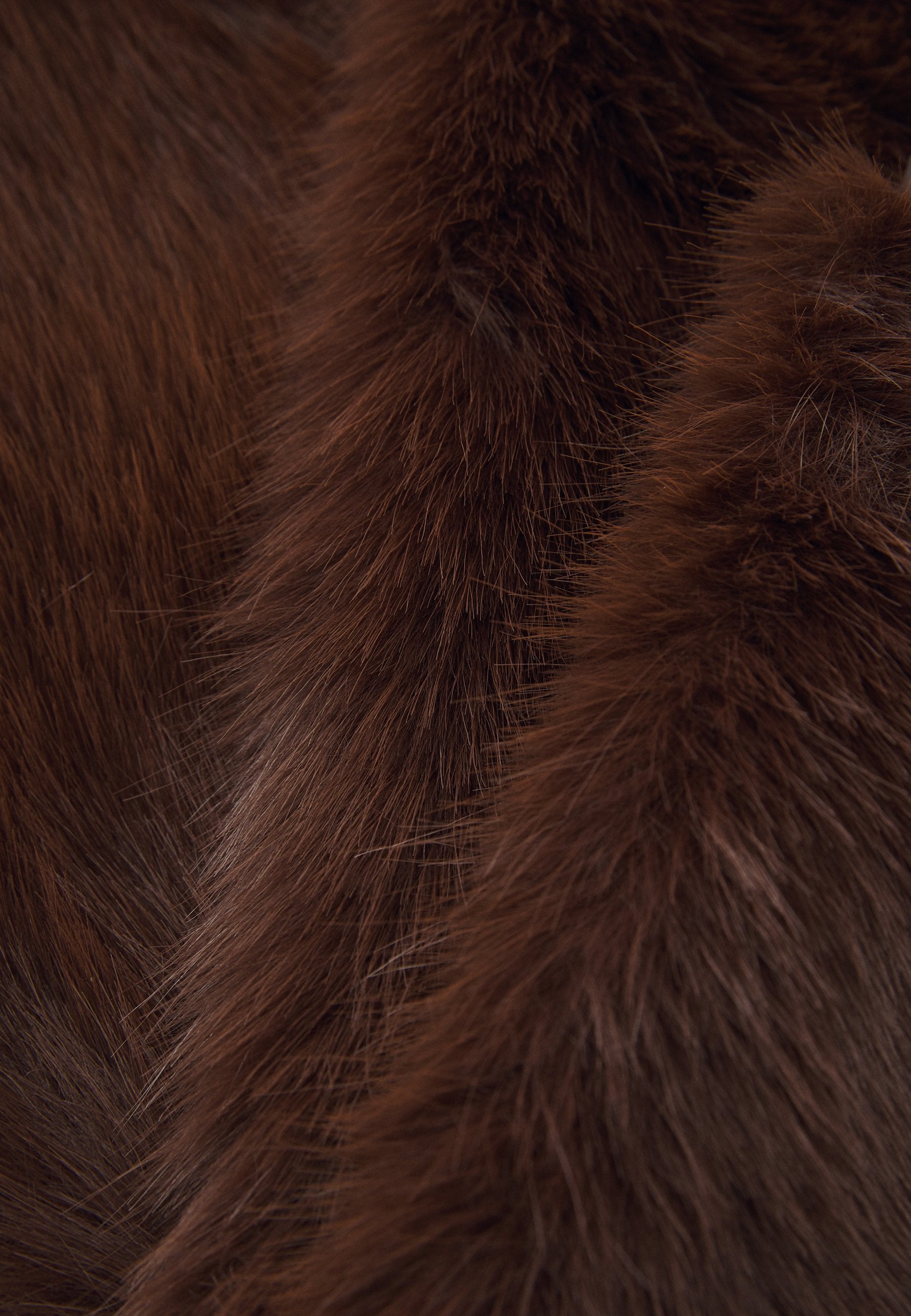 Anna Field Scarf - Brown